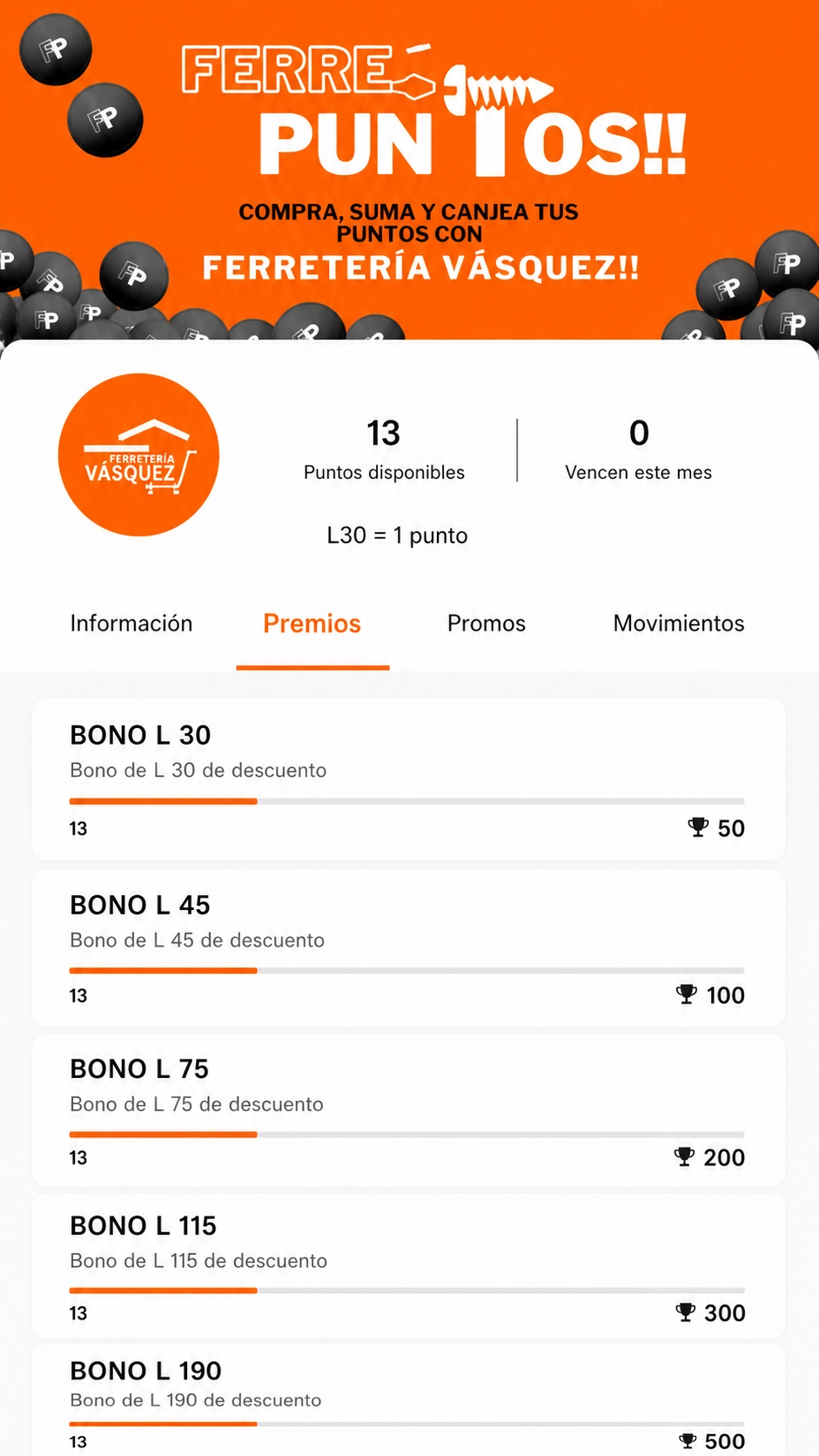 Pantalla de la app mostrando Ferre Puntos